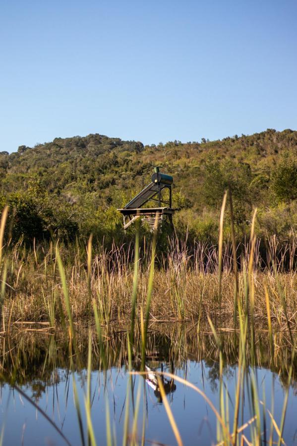 Forest Harmony Knysna Bagian luar foto