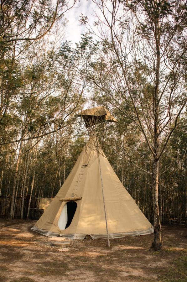 Forest Harmony Knysna Bagian luar foto
