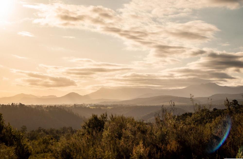 Forest Harmony Knysna Bagian luar foto